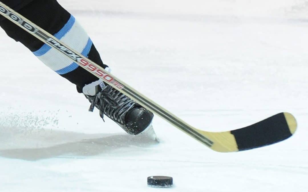 Alaskans Brian Cooper, Christian Hausinger, Tanner Sorenson and Casey Bailey crushed season hockey debuts abroad
