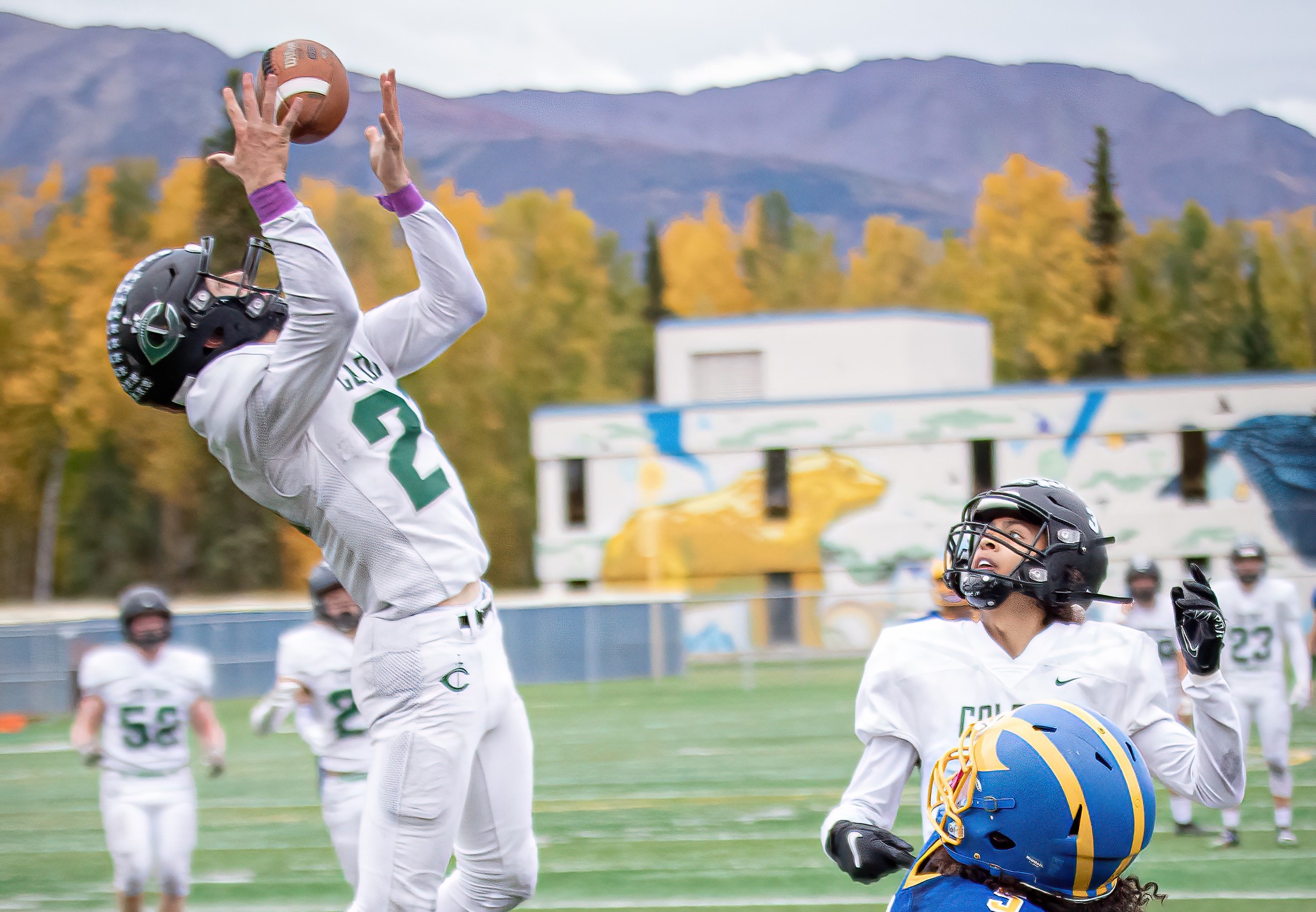 Soldotna Stars High School Football: Dominating the Field with Unstoppable Power