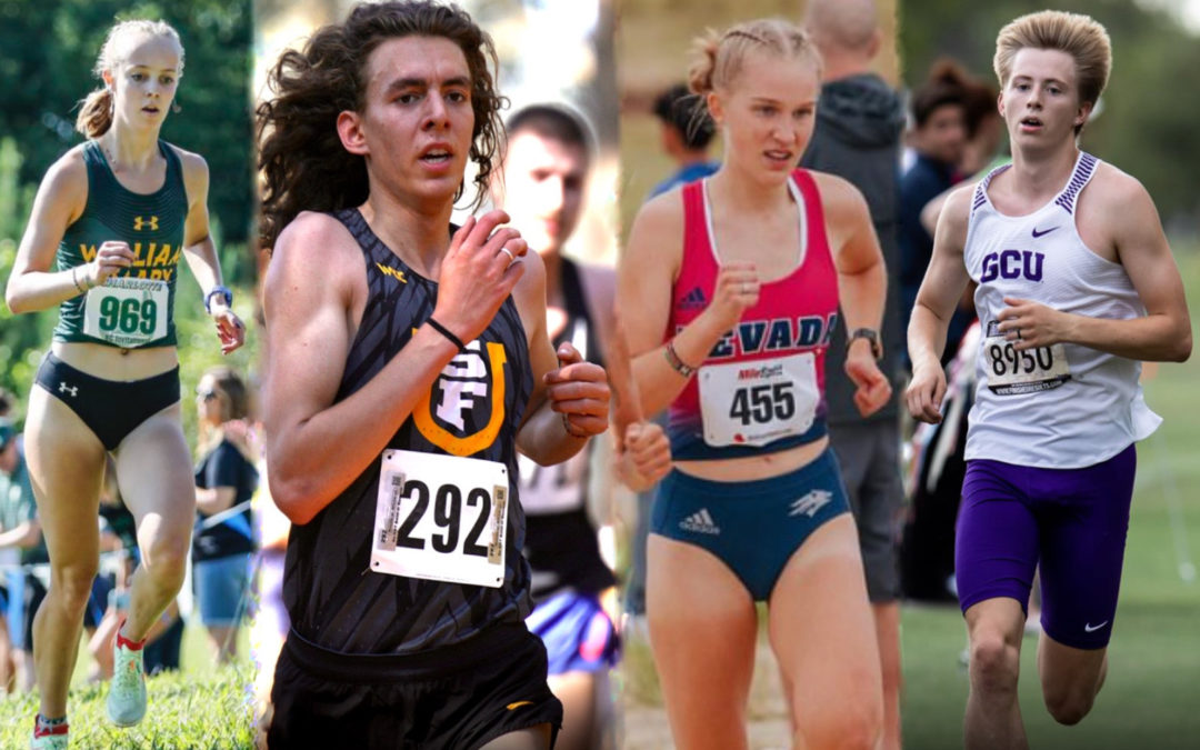 Heptad of athletes impress at Division I cross country conference championships