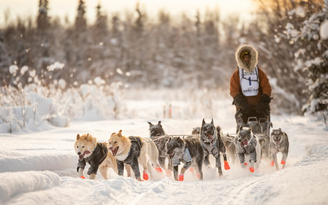 Eureka’s Brent Sass camps his way to another win in 550-mile Yukon Quest