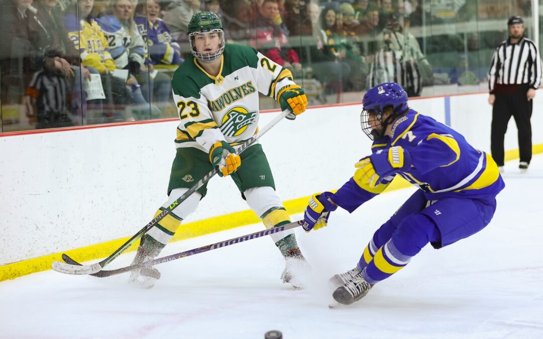 Around The Rinks: Here’s how Alaskans did in NCAA hockey this season – stats for all 67 players