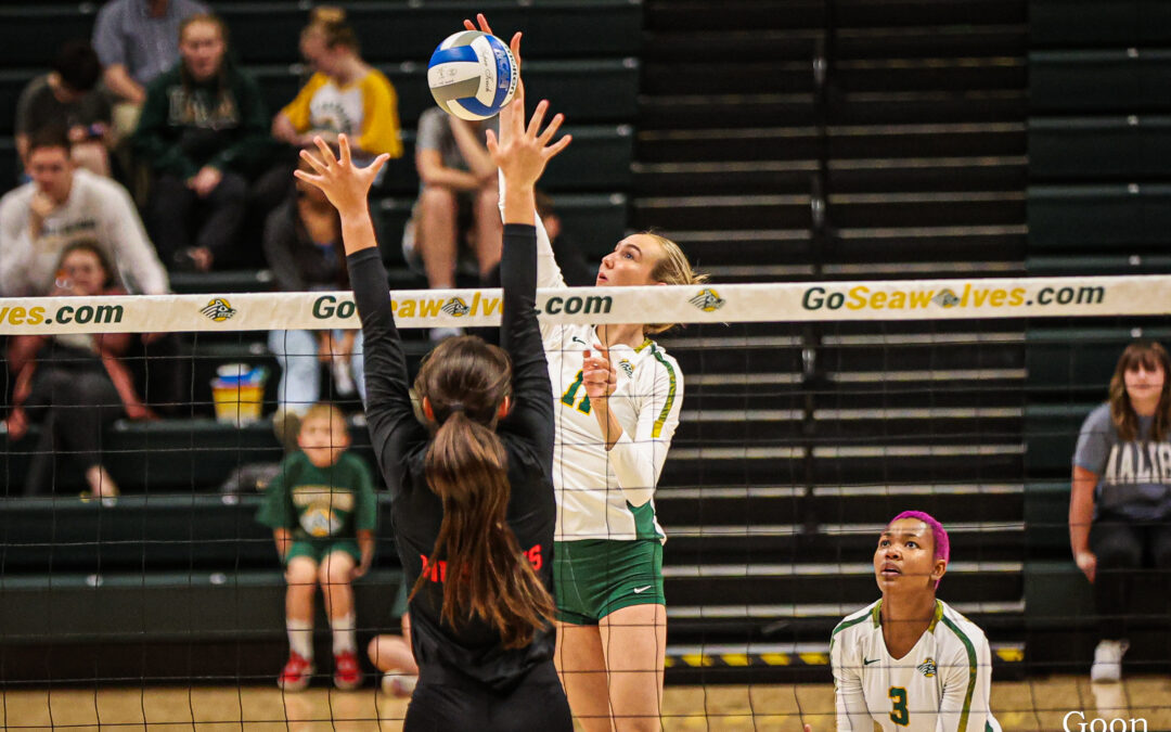 College Volleyball: UAA finds footing in Seawolf Invitational; local Reilly Plumhoff earns spot on all-tournament team