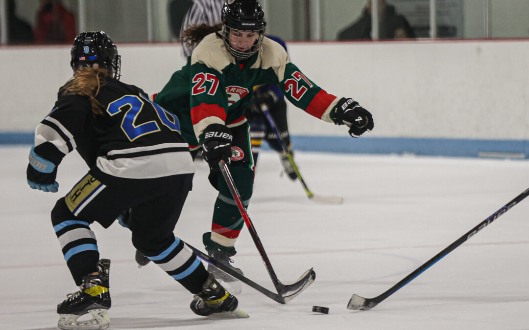 Prep Hockey: South/Bartlett trio of Tunney, Dupree and Rogness stuff scoresheet in 11-4 win over Service/East