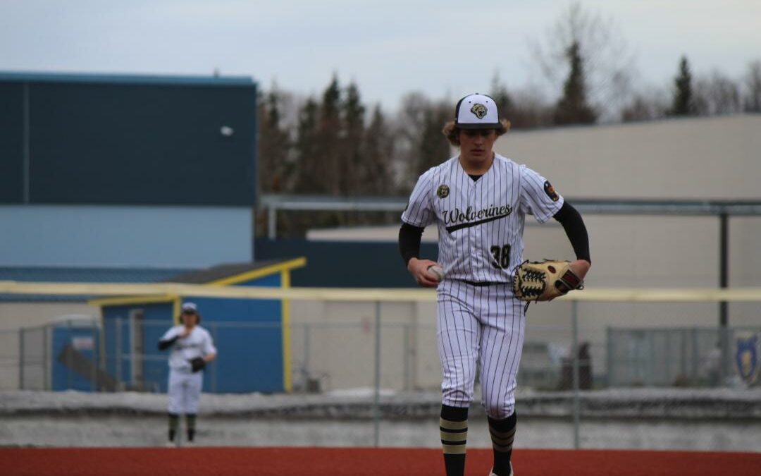 South High brothers David and Daniel Feigner throw combined no-hitter against Eagle River