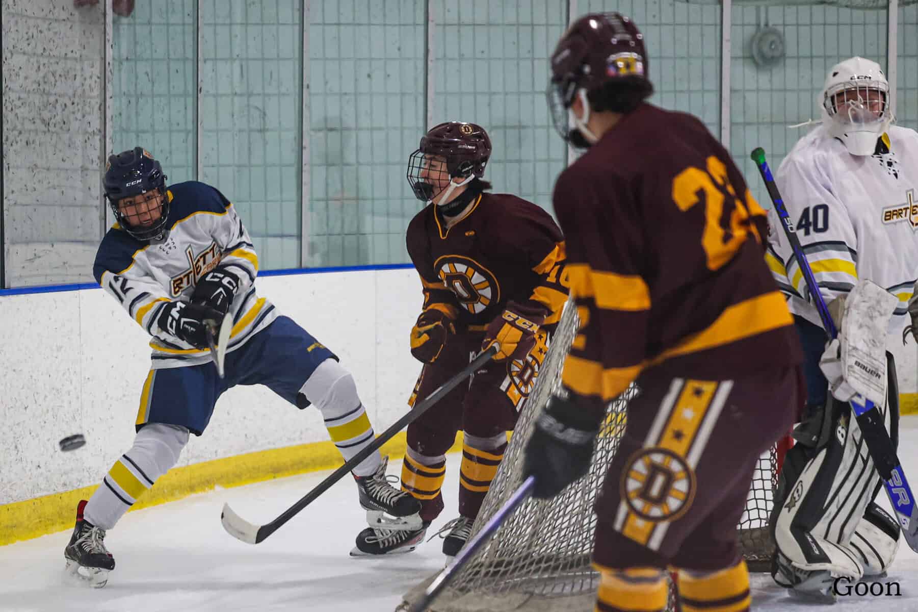 Hockey opportunities abound for Bartlett exchange students, other newcomers