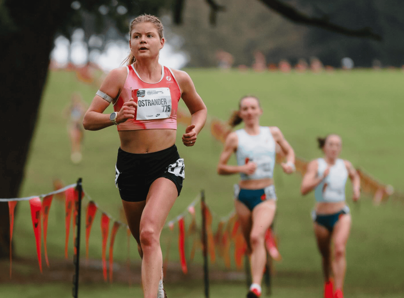 Ostrander finishes eighth at U.S. Cross Country Championships