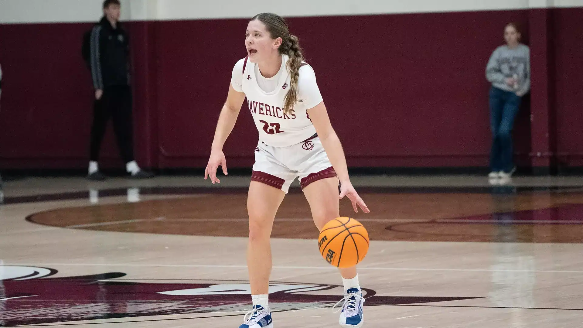 Playoff run ends for Clark, Mesa in national semifinals